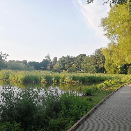 Room In A Danish Cottage With Garden View, 10 Min To Cph Gentofte Ngoại thất bức ảnh